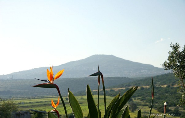 נופי כלנית - בקתות וסוויטות - ������ �כלנית - ������ ����